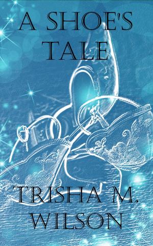 Cover of A Shoe's Tale