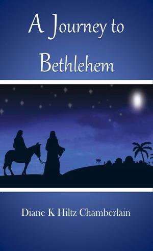 Book cover of A Journey to Bethlehem