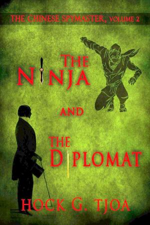 Cover of the book The Ninja and the Diplomat by Paula Erickson