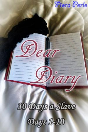 Cover of the book Dear Diary - Thirty Days A Slave (Days 1-10) by H.L. Holston, Eleanor Bruce