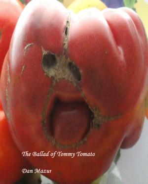 Cover of the book The Ballad of Tommy Tomato by Nabil Gulamani