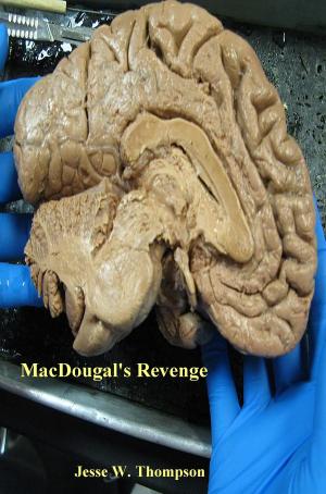 Cover of the book MacDougal's Revenge by Jude Liebermann
