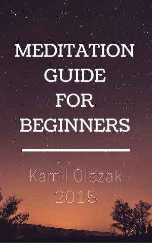 Cover of Meditation Guide for Beginners