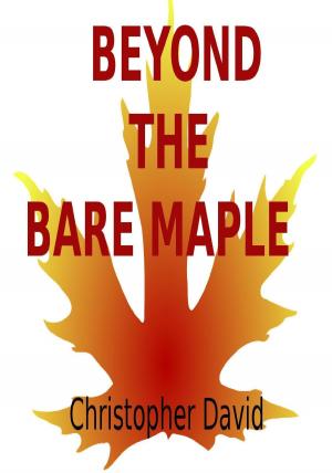 Cover of the book Beyond The Bare Maple by Danielle Monsch