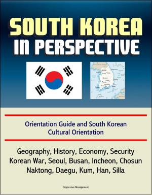 Cover of the book South Korea in Perspective: Orientation Guide and South Korean Cultural Orientation: Geography, History, Economy, Security, Korean War, Seoul, Busan, Incheon, Chosun, Naktong, Daegu, Kum, Han, Silla by Progressive Management