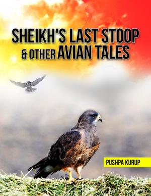 Cover of the book Sheikh's Last Stoop & Other Avian Tales by Glenn Christmas