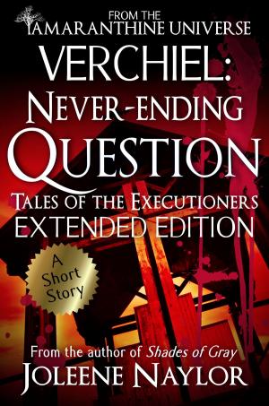 Cover of the book Verchiel: Never Ending Question (Tales of the Executioners) by A.N. Stevens