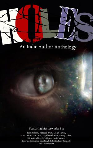 Cover of the book Holes by Dario Ciriello