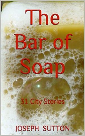 bigCover of the book The Bar of Soap: 31 City Stories by 