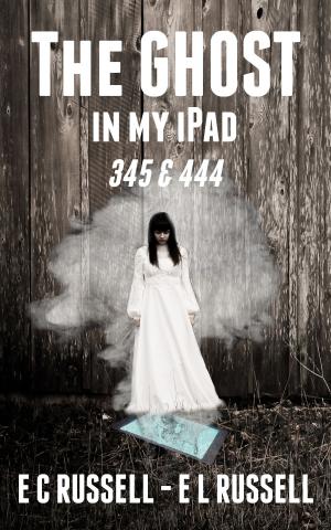 Book cover of The Ghost in my iPad 345 & 444
