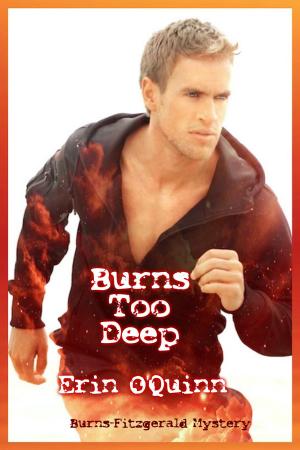 Cover of the book Burns Too Deep by Erin O'Quinn