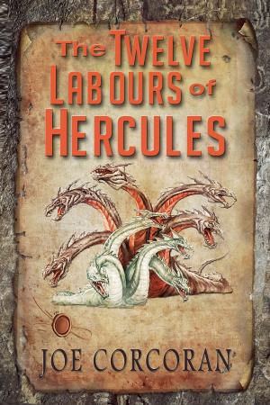 Cover of the book The Twelve Labours of Hercules by Louis-Charles Fougeret de Monbron
