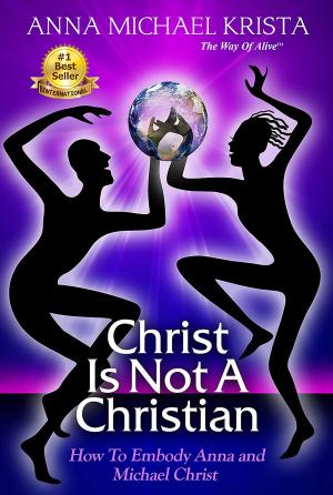 Book cover of Christ Is Not a Christian How to Embody Anna and Michael Christ