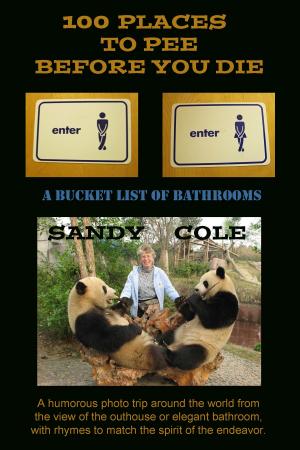 bigCover of the book 100 Places to Pee Before You Die: A Bucket List of Bathrooms by 