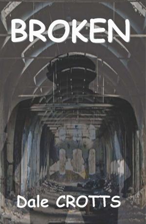 Cover of the book Broken by McCartney Green