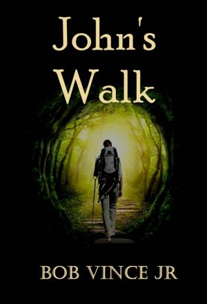 Cover of the book John's Walk by vince