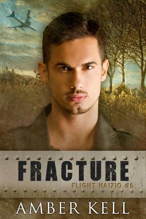 bigCover of the book Fracture by 
