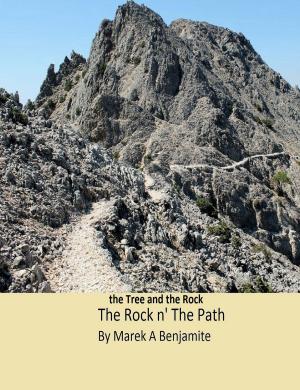Cover of the book The Rock n' The Path by Tony Peters