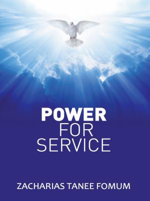 Cover of the book Power For Service by Theodore Wanneh Andoseh