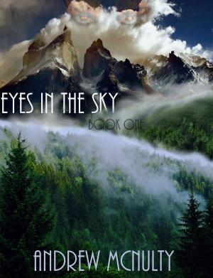 Cover of the book Eyes in the Sky by Ray Anyasi