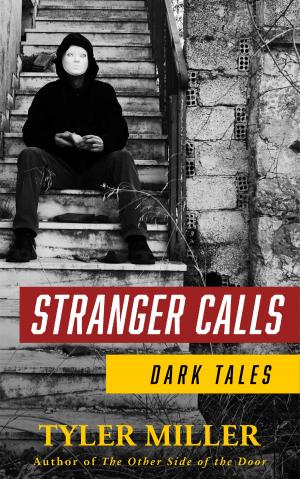 Cover of the book Stranger Calls: Dark Tales by Debbie Manber Kupfer