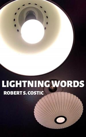 Cover of the book Lightning Words: Aphorisms by Adem Özbay