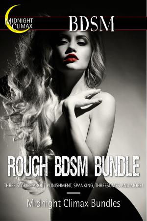 Cover of the book Rough BDSM Bundle by Casey Delane