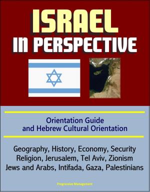 Cover of the book Israel in Perspective: Orientation Guide and Hebrew Cultural Orientation: Geography, History, Economy, Security, Religion, Jerusalem, Tel Aviv, Zionism, Jews and Arabs, Intifada, Gaza, Palestinians by Progressive Management