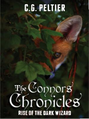 Book cover of The Connors Chronicles, Rise of the Dark Wizard