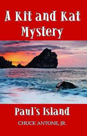 Cover of the book Paul's Island: A Kit and Kat Mystery 1 by Dave Ehlert