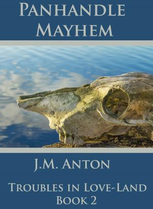 Cover of Panhandle Mayhem: Troubles in Love-Land Book Two