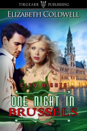 Cover of the book One Night in Brussels by Kristi Ahlers
