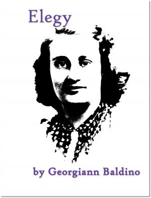 Cover of the book Elegy by Georgiann Baldino