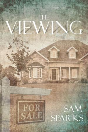 Book cover of The Viewing