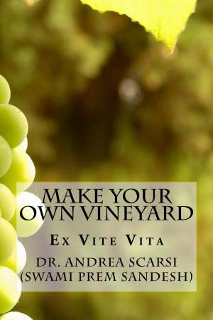 Cover of the book Make Your Own Vineyard by Andrea Scarsi