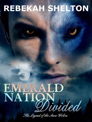 Book cover of Emerald Nation: Divided