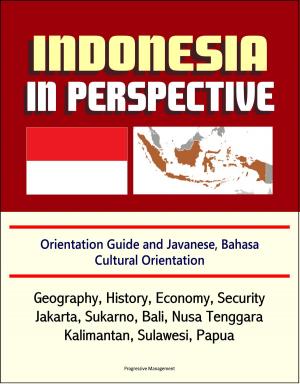Cover of the book Indonesia in Perspective: Orientation Guide and Javanese, Bahasa Cultural Orientation: Geography, History, Economy, Security, Jakarta, Sukarno, Bali, Nusa Tenggara, Kalimantan, Sulawesi, Papua by Progressive Management