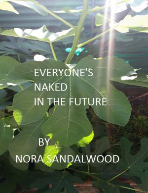 Cover of the book Everyone’s Naked In The Future by Alex Krane