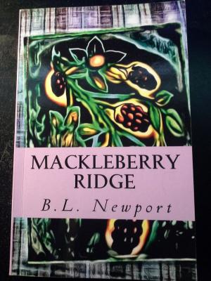 bigCover of the book Mackleberry Ridge by 