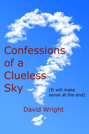 Book cover of Confessions of a Clueless Sky