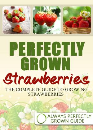 Book cover of Perfectly Grown Strawberries: the complete guide to growing strawberries