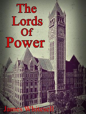 Cover of the book The Lords Of Power by Serge Timmers