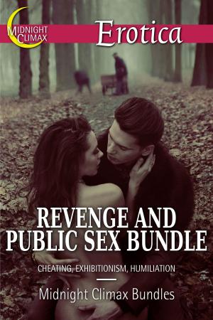 Cover of Revenge and Public Sex Bundle (Cheating, Exhibitionism, Humiliation)
