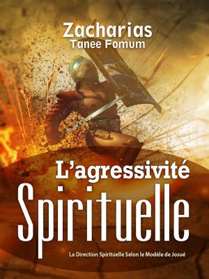 Cover of the book L’Agressivité Spirituelle (La Direction Spirituelle Selon Le Modèle De Josué) by 