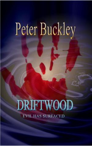 Cover of the book Driftwood by Peter Allchin