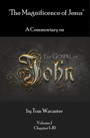 Cover of The Magnificence of Jesus: A Commentary On The Gospel of John - Volume 1