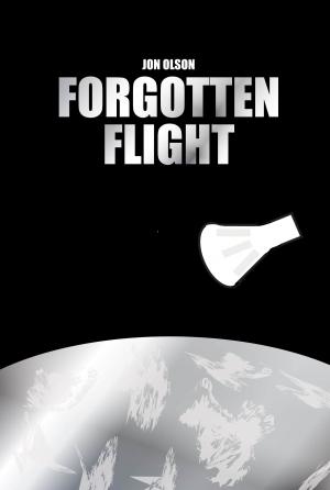 Book cover of Forgotten Flight
