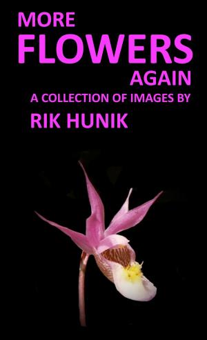 Cover of the book More Flowers Again by Rik Hunik