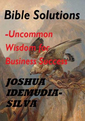 Book cover of Bible Solutions- uncommon wisdom for Business Success