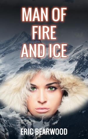 Cover of the book Man of Fire and Ice by M.R. Leenysman